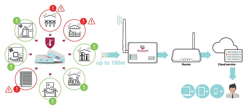 SensGuard MCP9808 Wireless Temperature Sensor - Qonda System